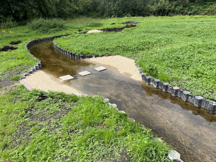 Sunken walkway Martin Mere.JPG